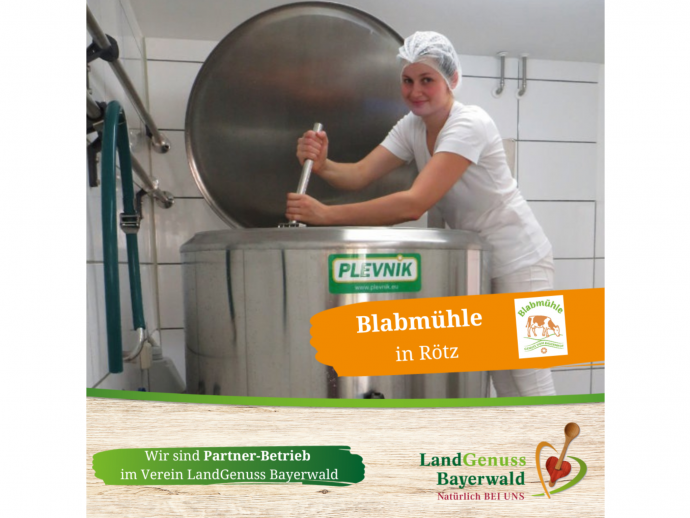 Blabmühle in Diepoltsried/Rötz 