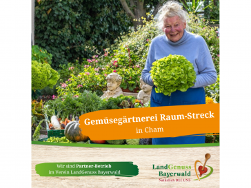 Gemüsegärtnerei Raum-Streck in Cham