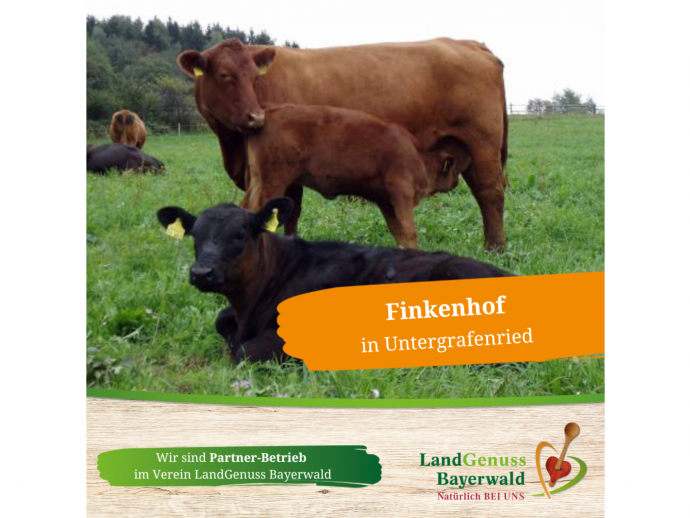 Finkenhof in Untergrafenried/Waldmünchen