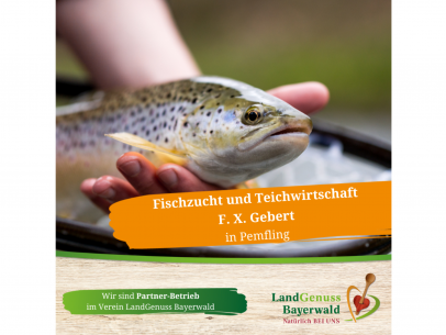 Fischzucht und Teichwirtschaft F.X. Gebert in Pemfling