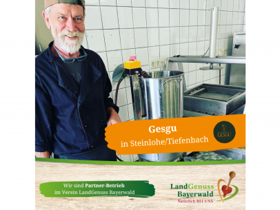 Gesgu GmbH in Tiefenbach