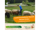 Landwirtschaft Michael Weber in Roßberg/Chamerau