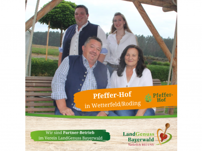Pfeffer-Hof in Wetterfeld/Roding