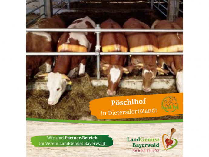 Pöschlhof in Dietersdorf/Zandt