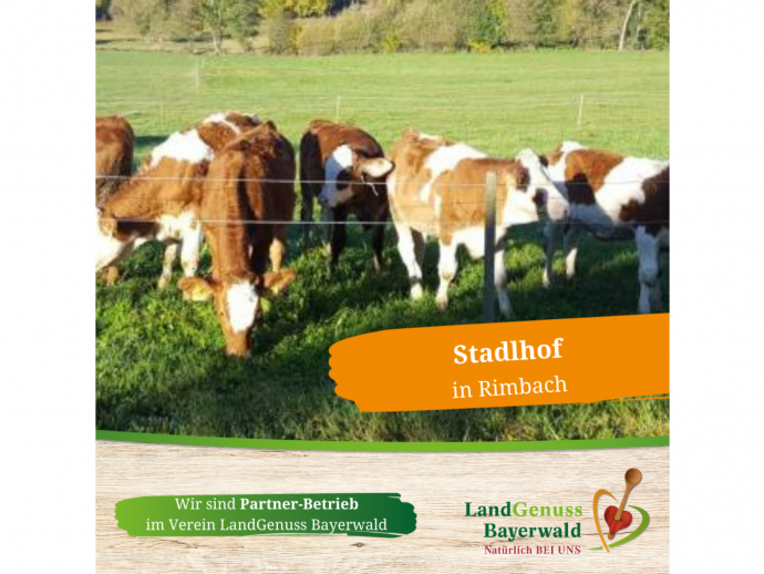 Stadlhof in Rimbach 